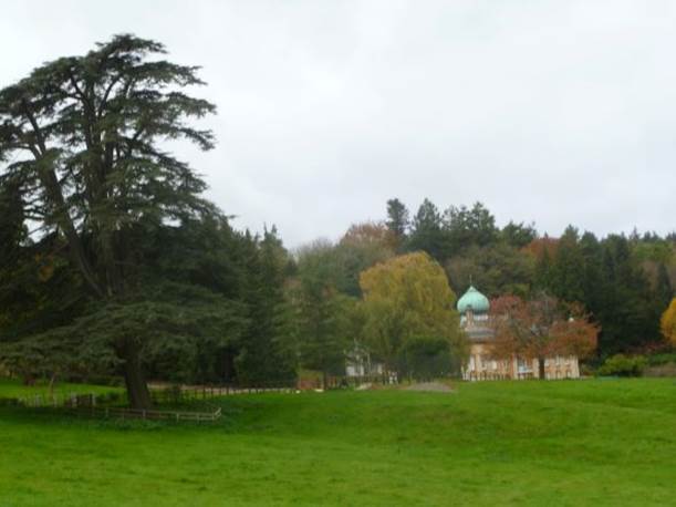 A large green field with trees and a building in the background

Description automatically generated with low confidence