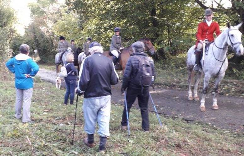 A group of people walking horses

Description automatically generated with low confidence