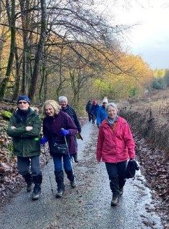 A group of people walking on a path in the woods

Description automatically generated with medium confidence